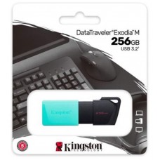 Kingston USB 3.2 Flash Drive DTXM/256 (NO CAP)