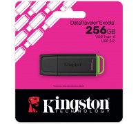 Kingston USB 3.2 Flash Drive DTXG2/256GB
