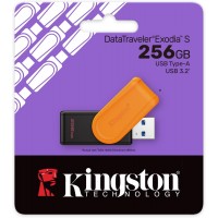 (Limit 12) Kingston USB3.2 Flash Drive DTXS/256GB